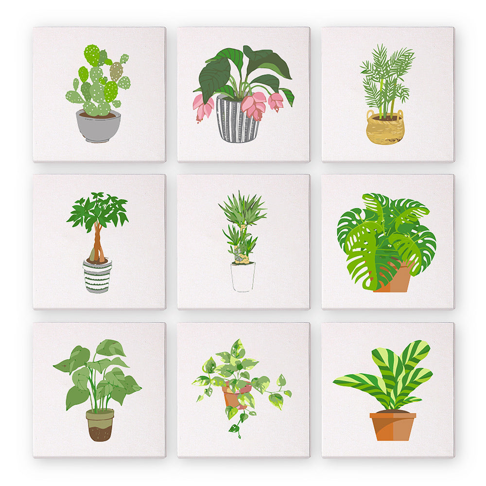 9 Mini Paintings | Indoor Plants Set