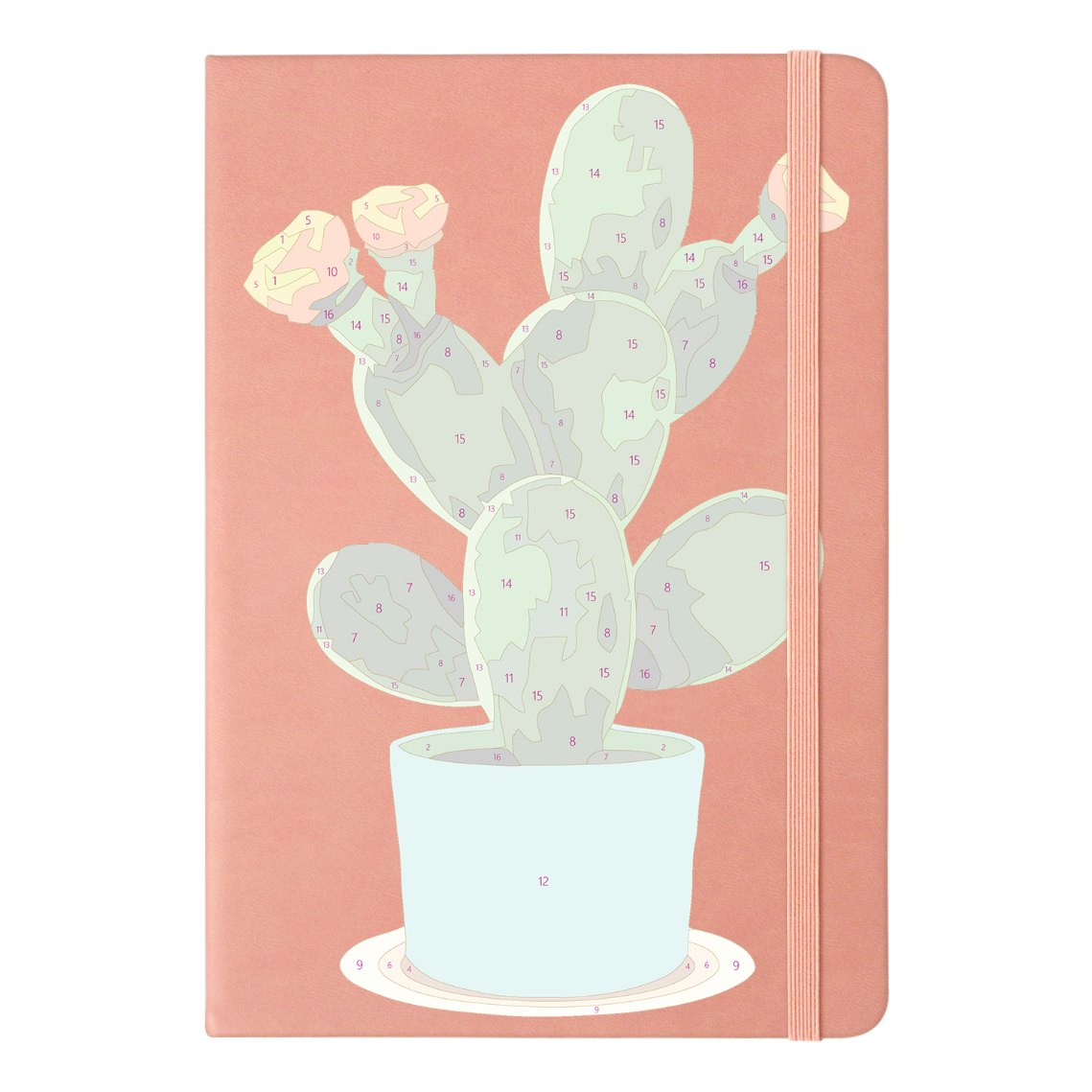 Cactus | Paint by Numbers