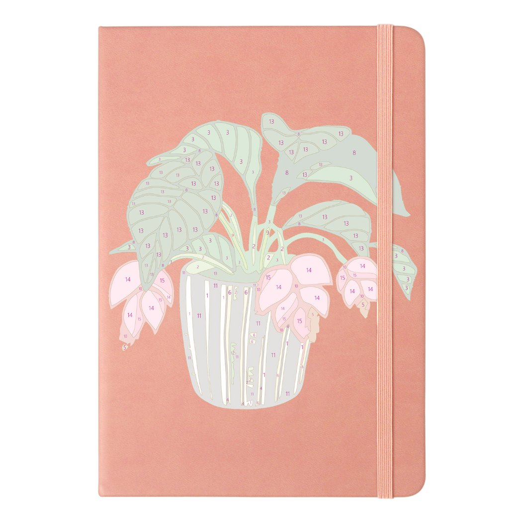 Houseplant | Paint by Numbers