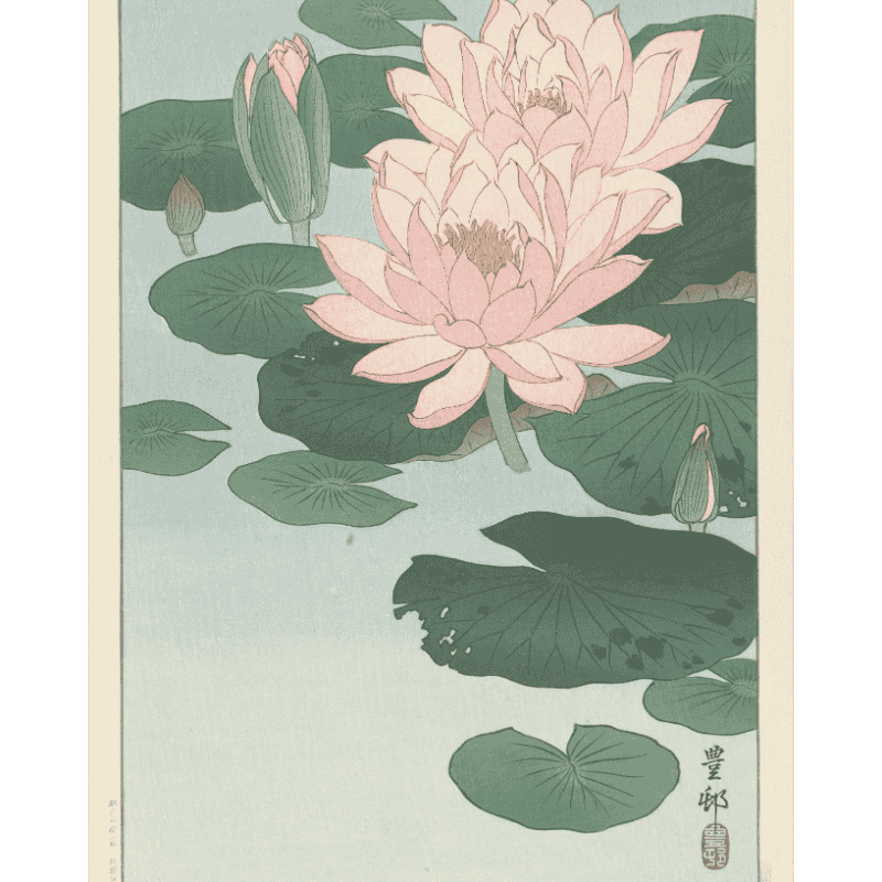 Flowering Water Lily | Paint by Numbers