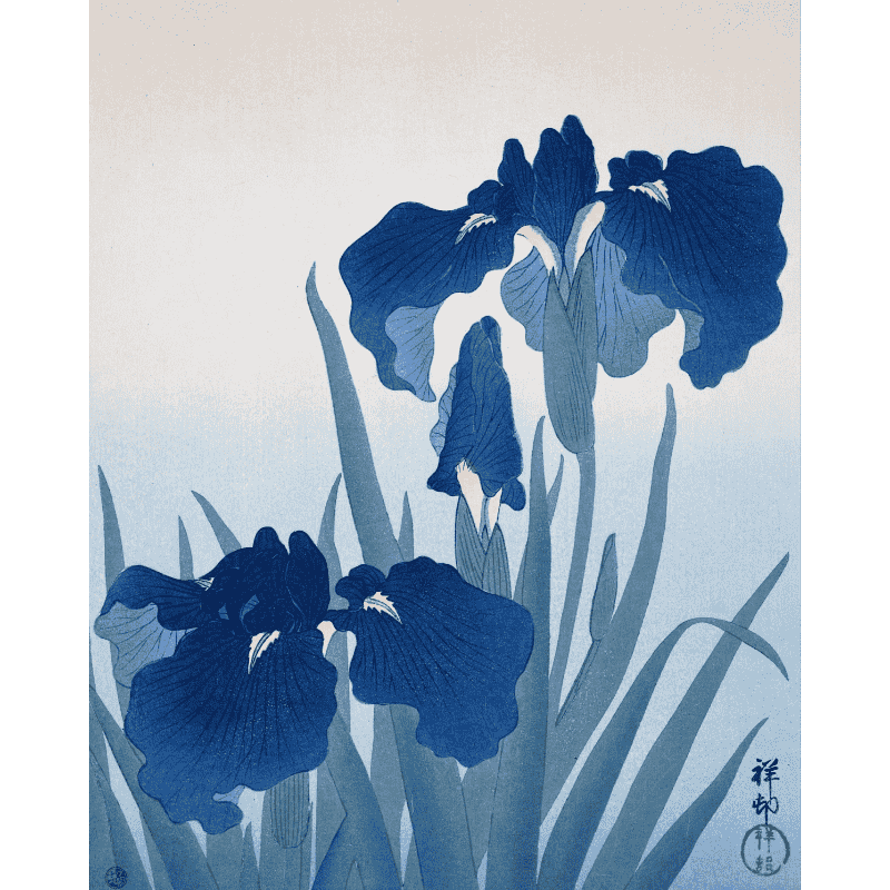Irises | Paint by Numbers