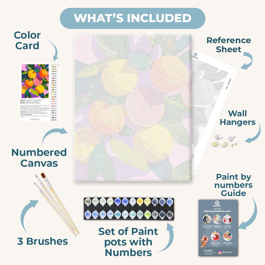Colorful Citrus Fruits | Paint by Numbers