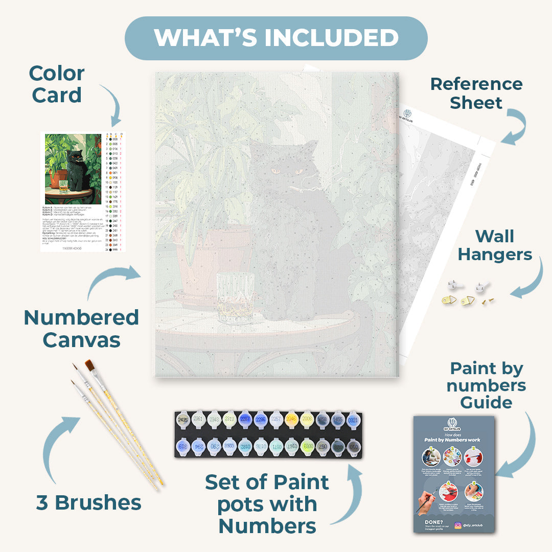 Grumpy Cat | Paint by Numbers