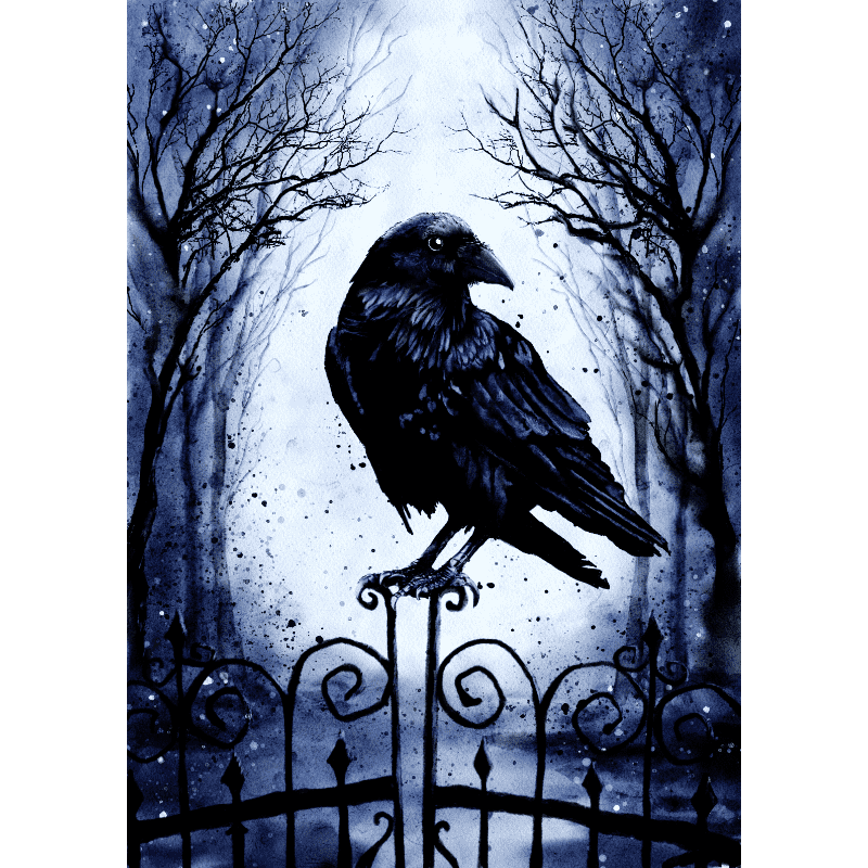 Dead Inside Crow | Paint by Numbers