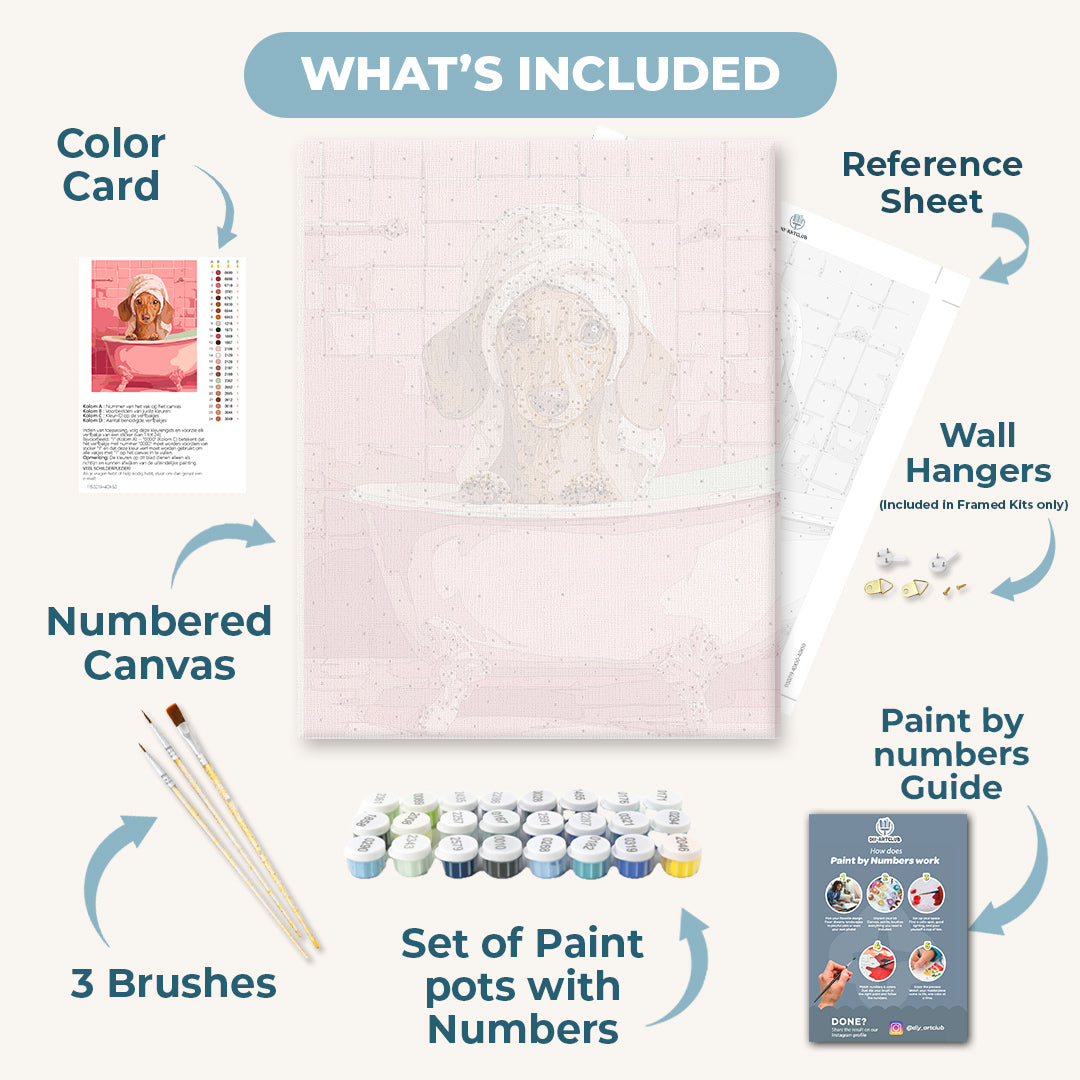 Dachshund in Bath | Paint by Numbers