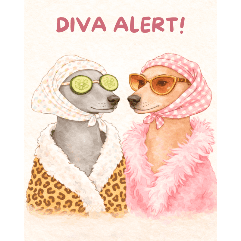 Diva Alert | Paint by Numbers