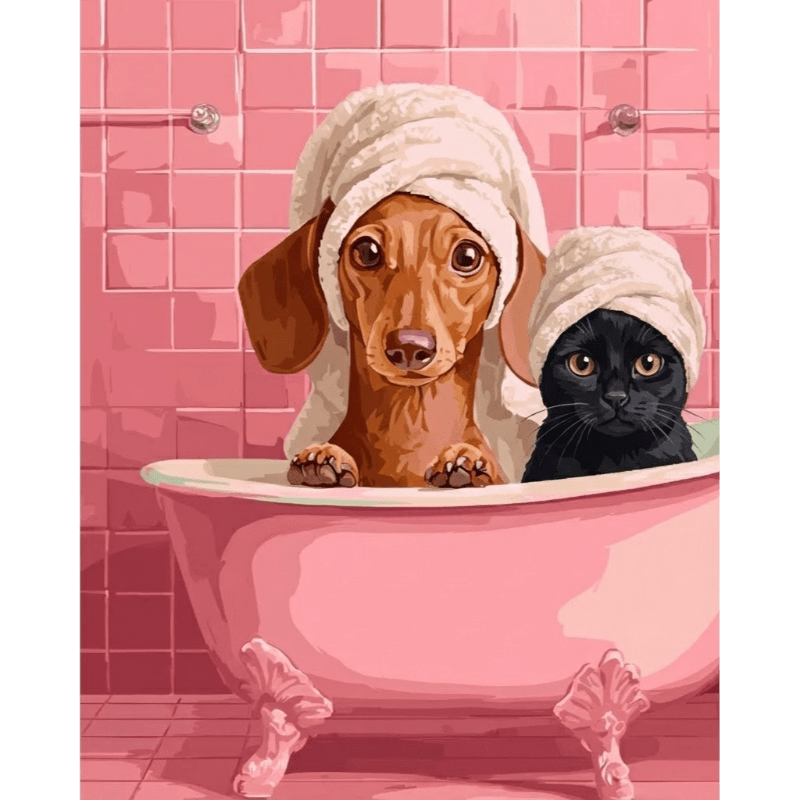 Dachshund & Cat in Bath | Paint by Numbers
