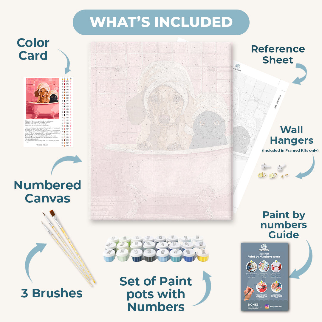 Dachshund & Cat in Bath | Paint by Numbers