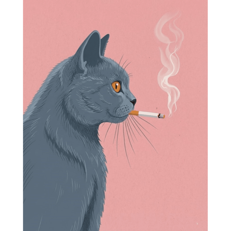 Smoking British Shorthair | Paint by Numbers
