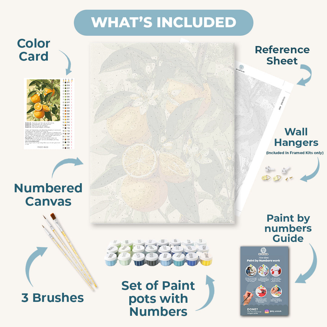 Blooming Citrus Fruits | Paint by Numbers