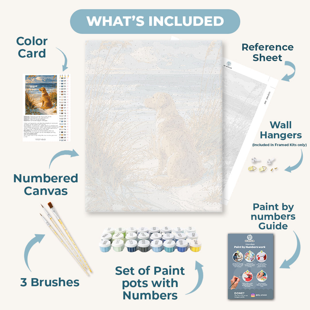Waiting Labrador | Paint by Numbers