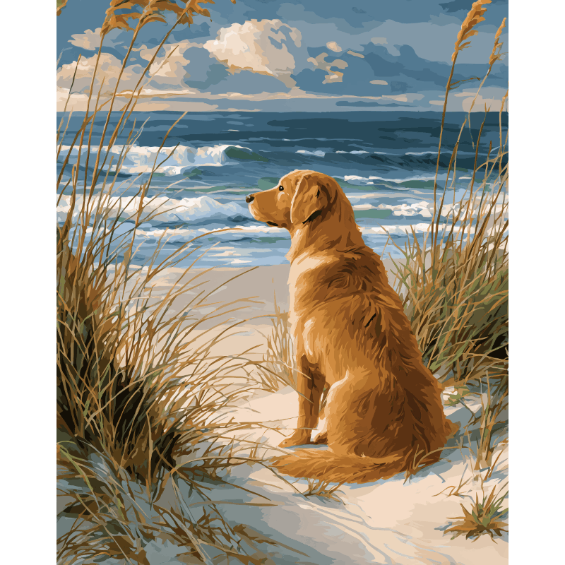 Waiting Labrador | Paint by Numbers