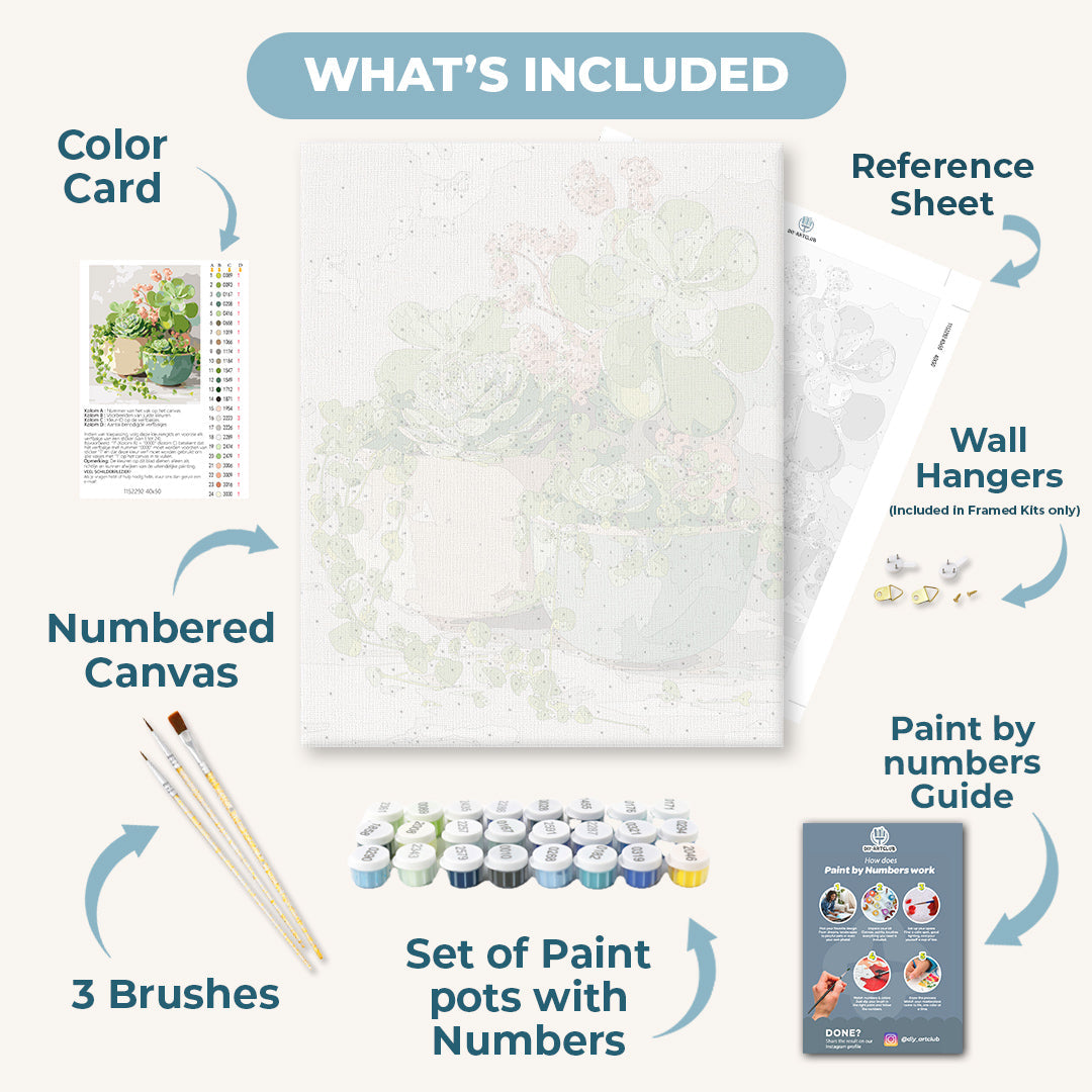 Spring Succulents | Paint by Numbers