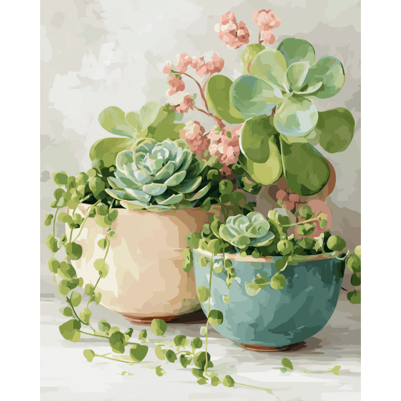 Spring Succulents | Paint by Numbers