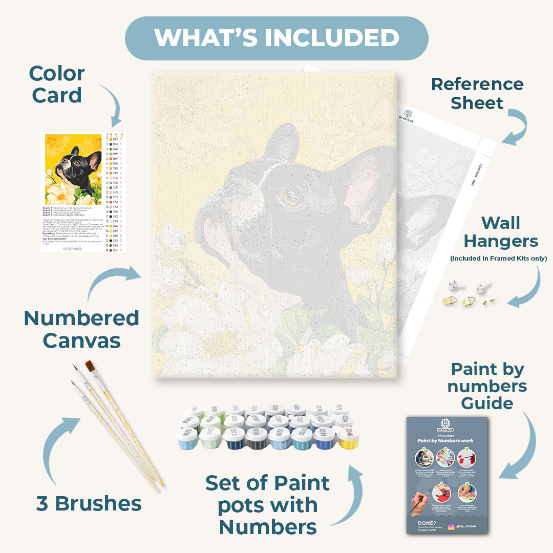 Magnolia’s French | Paint by Numbers