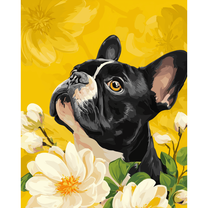 Magnolia’s French | Paint by Numbers