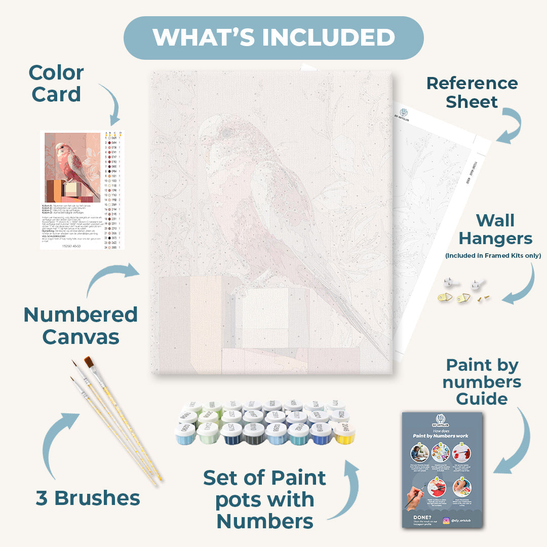 Pink Budgie | Paint by Numbers