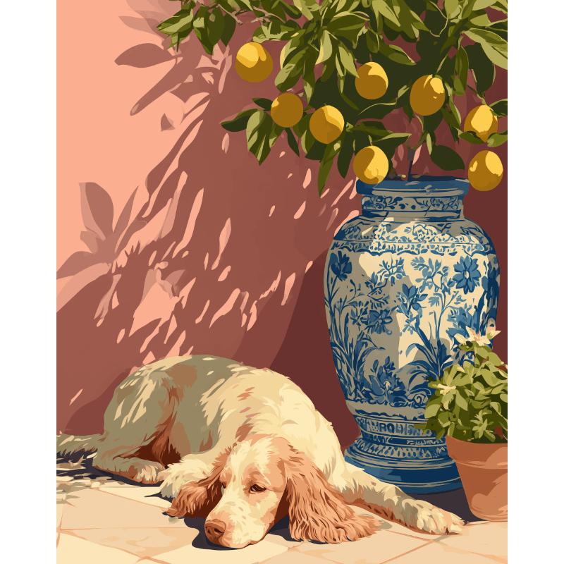 Siesta | Paint by Numbers