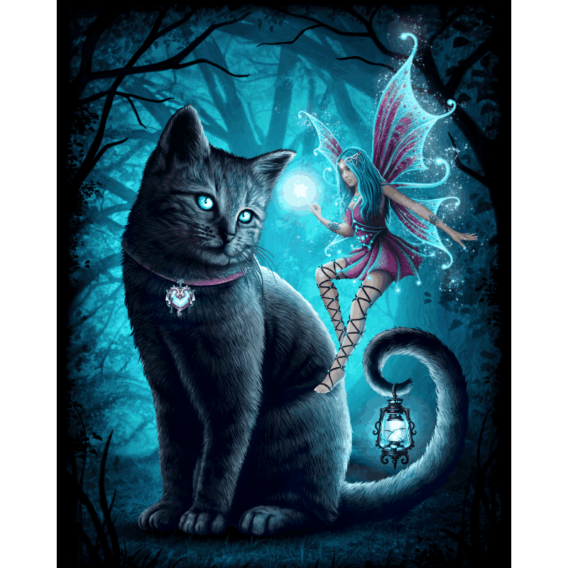Cat and Fairy | Paint by Numbers