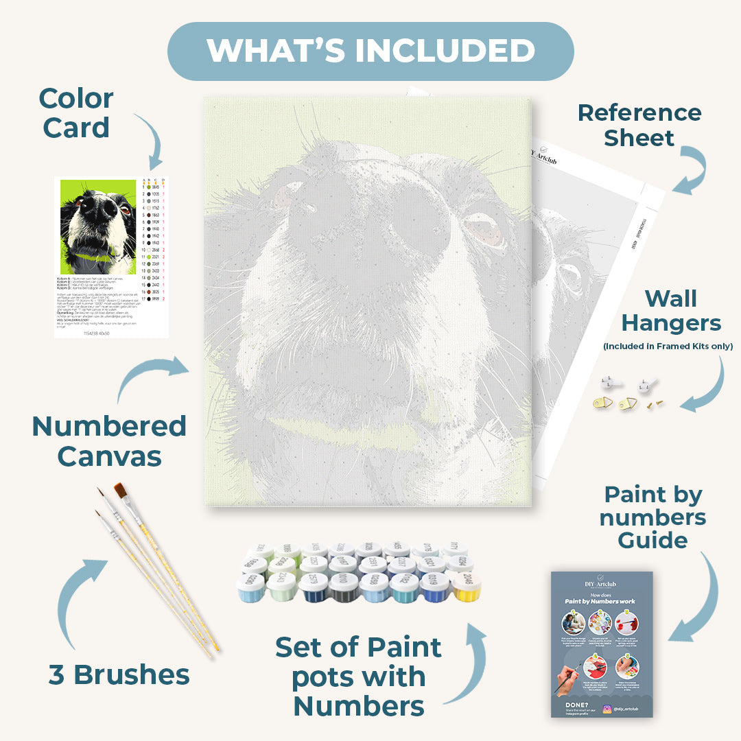 Sniff Mode | Paint by Numbers