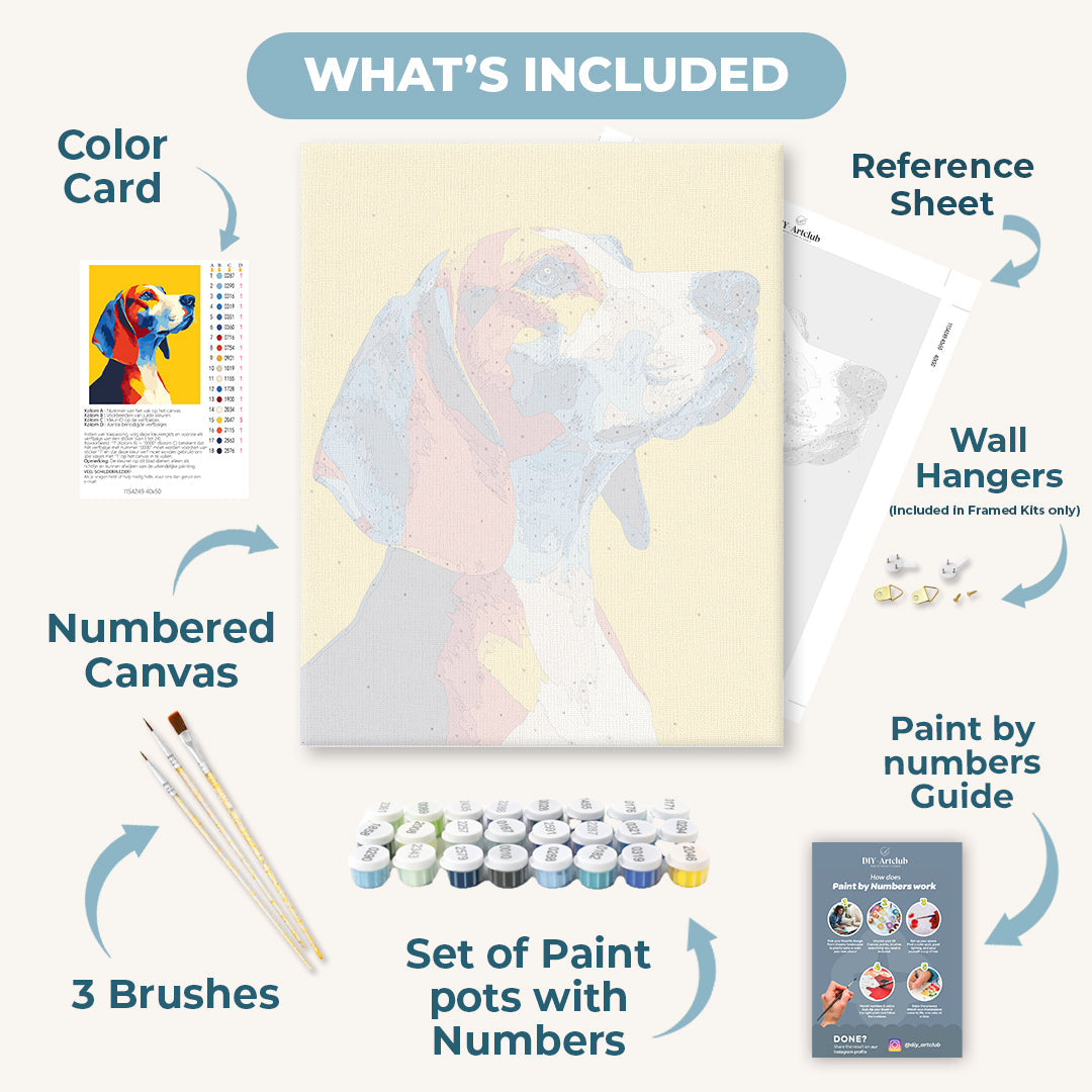 Colorful Beagle | Paint by Numbers