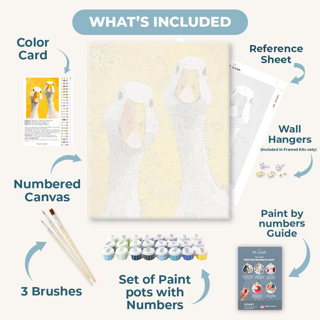 Curiosity | Paint by Numbers