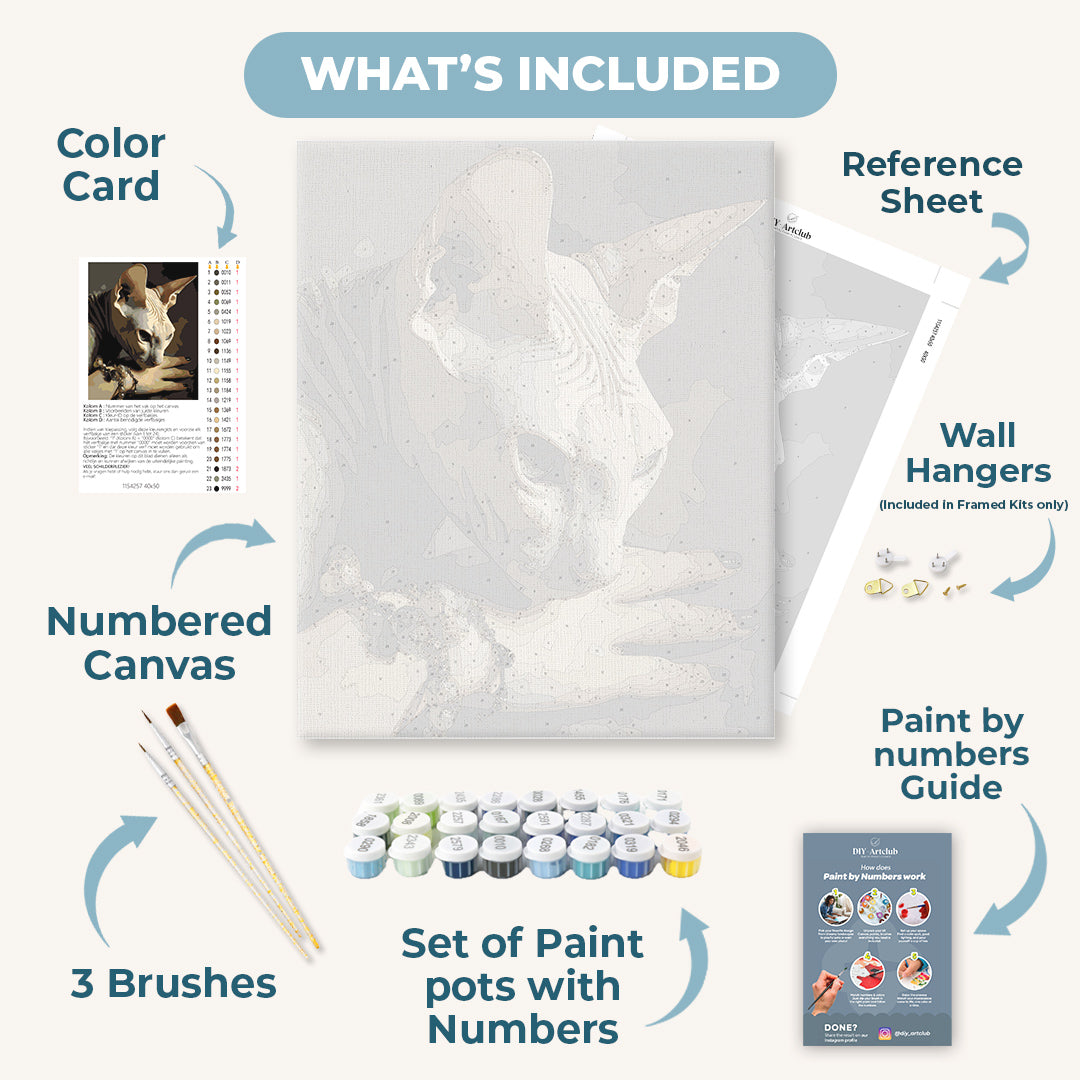 Nocturne Bond | Paint by Numbers