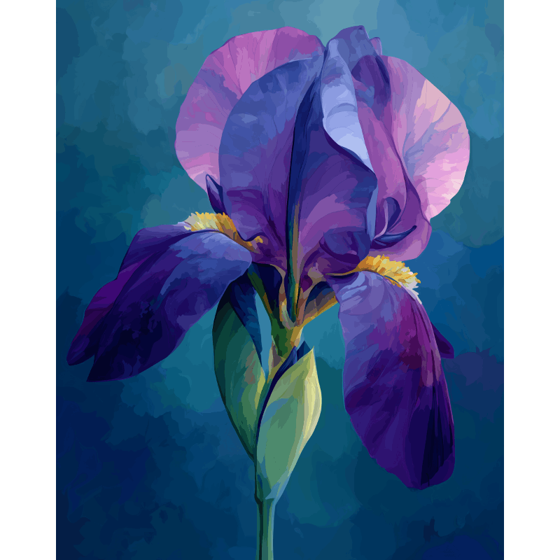Velvet Iris | Paint by Numbers