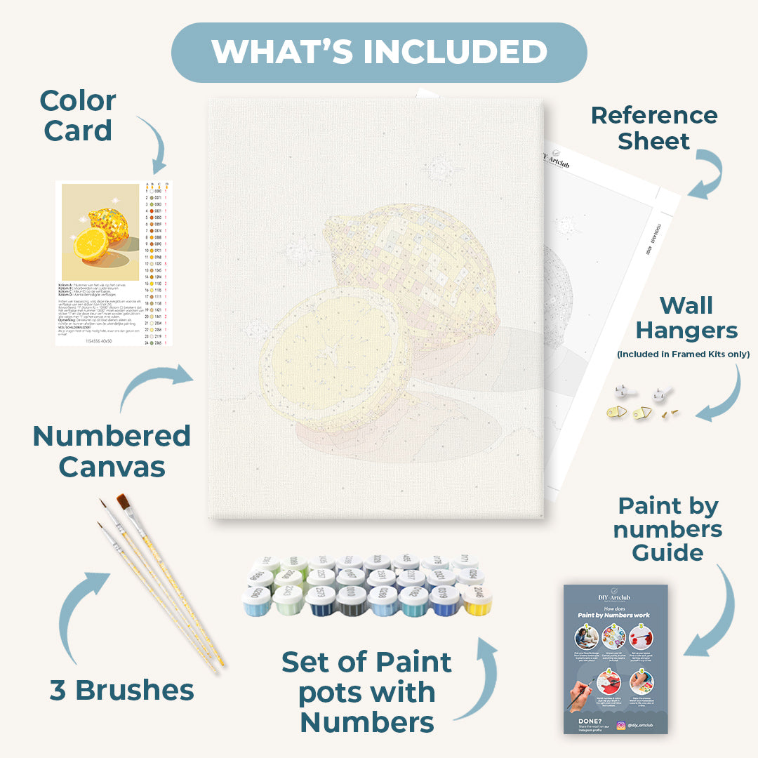 Lemon Disco | Paint by Numbers