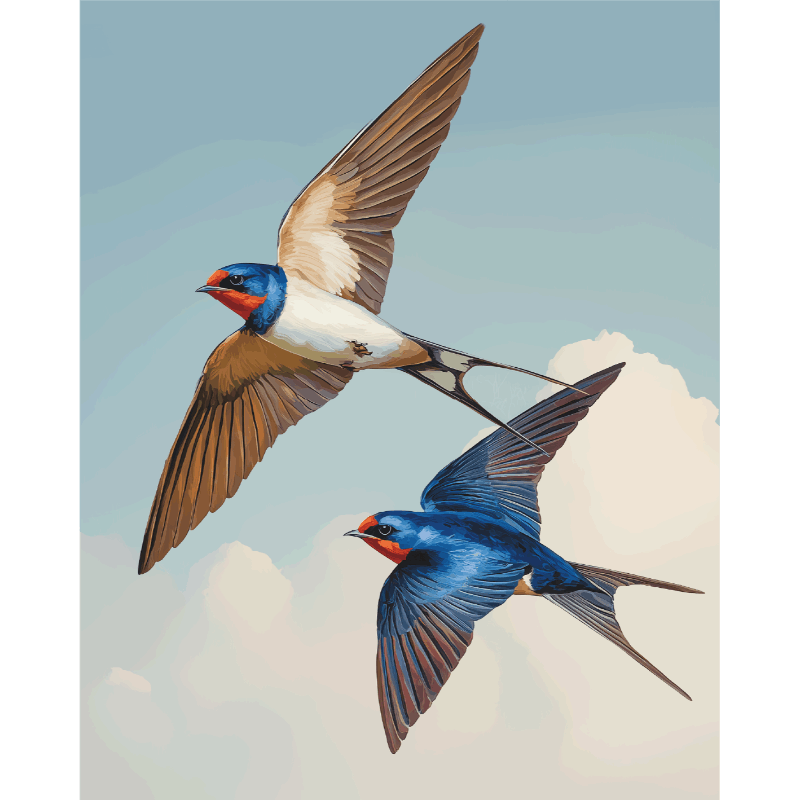 Love Birds | Paint by Numbers