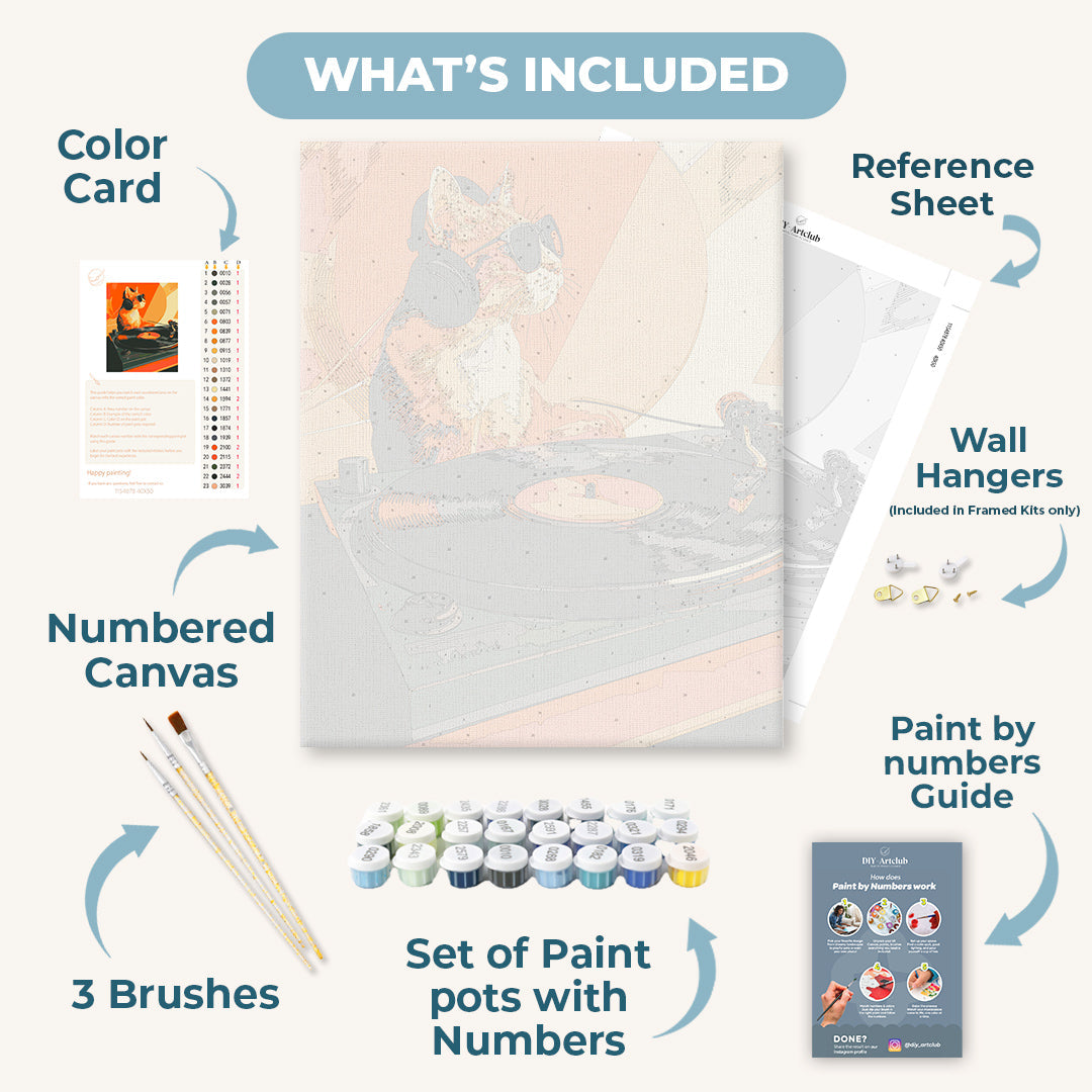 Cat is a DJ | Paint by Numbers