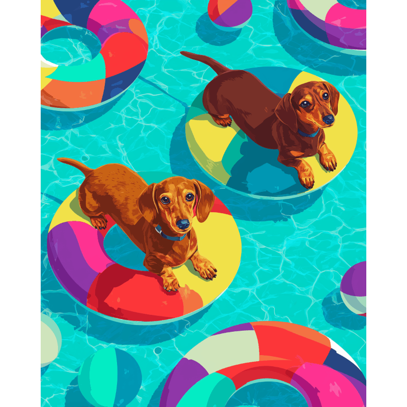 Floating Dachshunds | Paint by Numbers