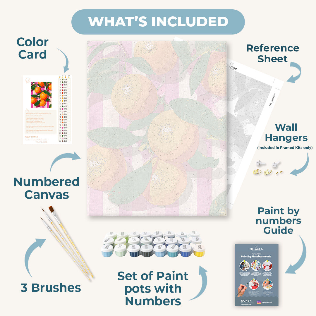 Citrus Crush | Paint by Numbers