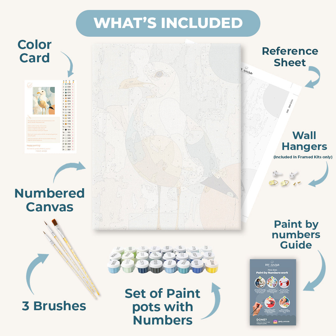 Curious Seagull | Paint by Numbers