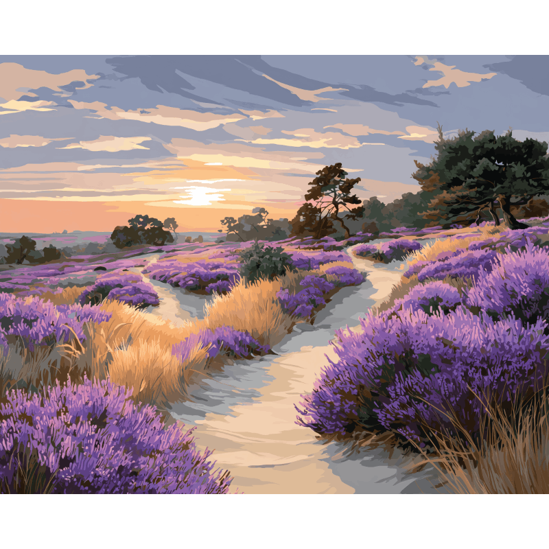 Veluwe National Park | Paint by Numbers