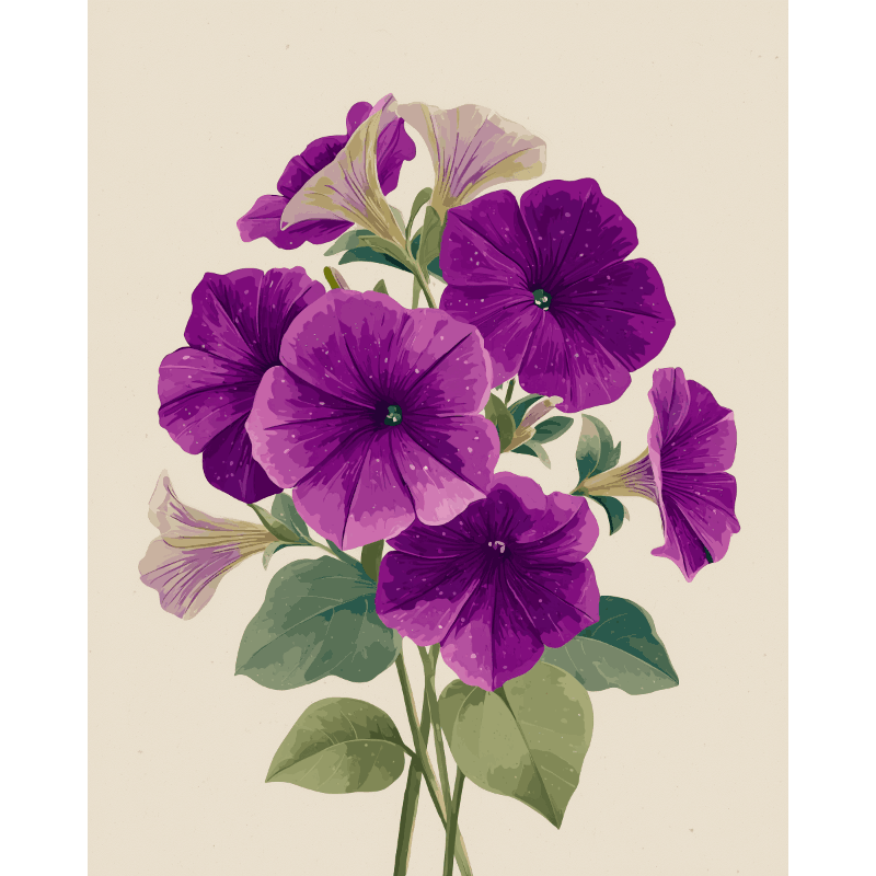 Velvet Petunias | Paint by Numbers