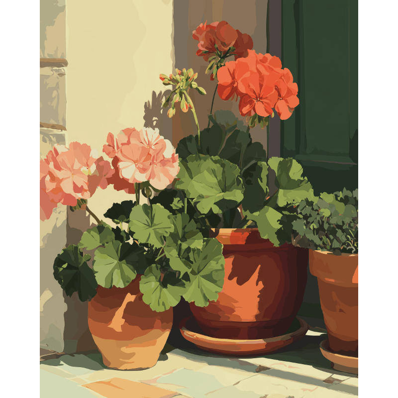 Terracotta Geraniums | Paint by Numbers