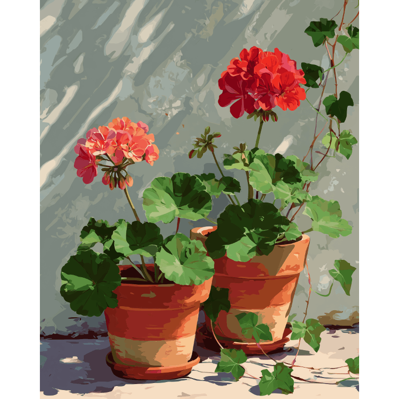 Geranium Corner | Paint by Numbers