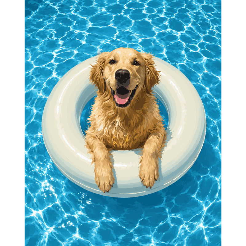 Golden Retriever Swim | Paint by Numbers