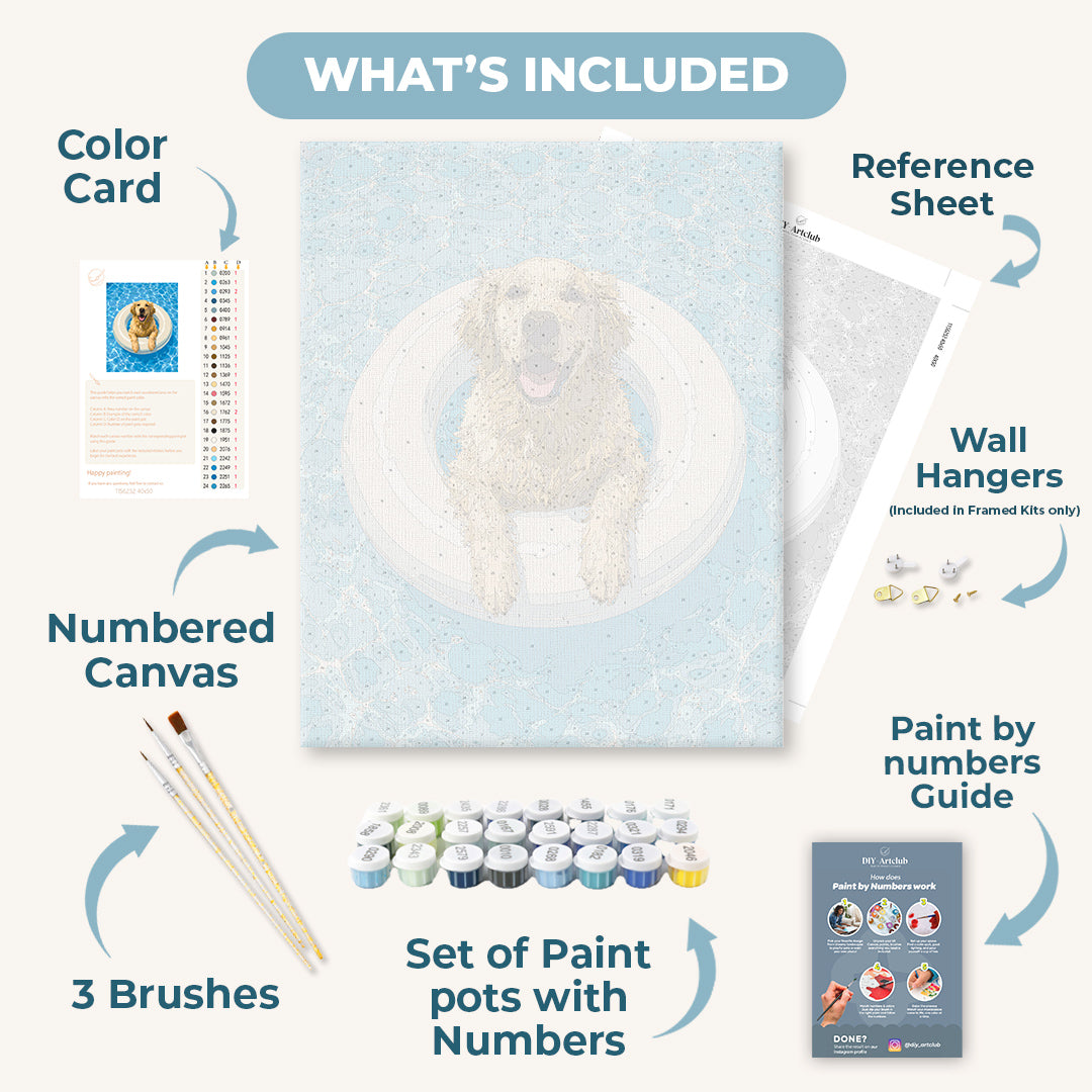 Golden Retriever Swim | Paint by Numbers