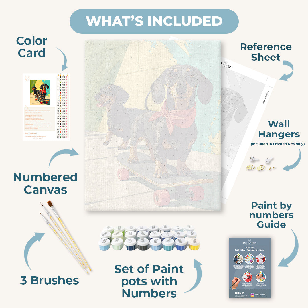 Skater Dachshund | Paint by Numbers