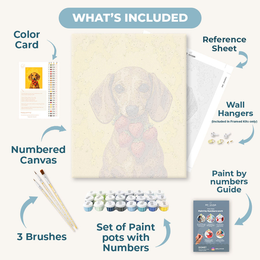 Strawberry Dachshund | Paint by Numbers