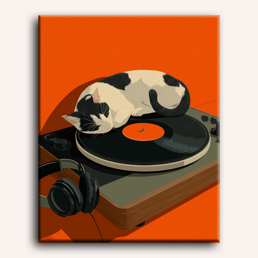 Vinyl Dreams | Paint by Numbers