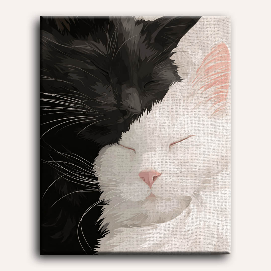 Black & White Velvet | Paint by Numbers