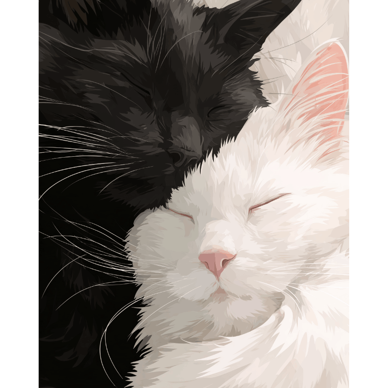 Black & White Velvet | Paint by Numbers