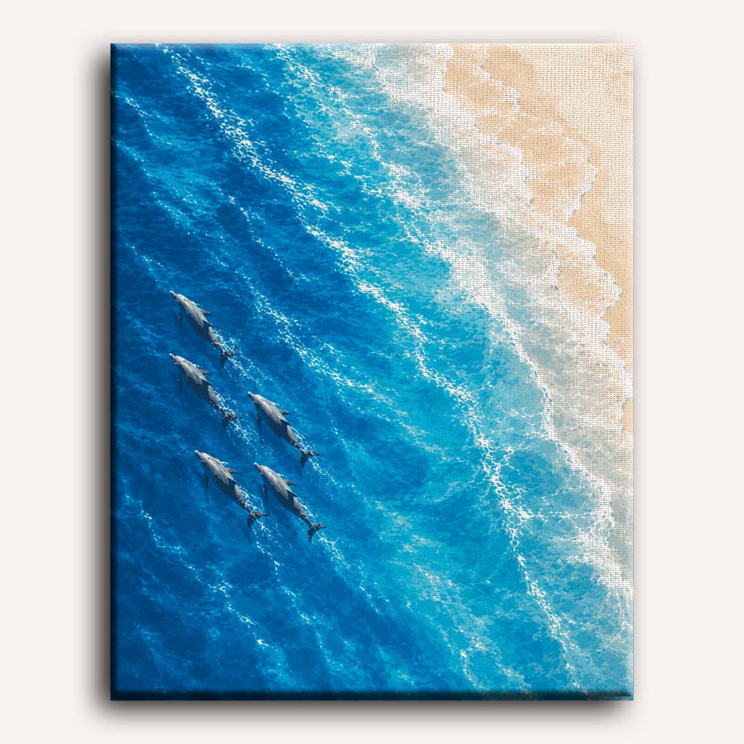 Dolphins From Above | Paint by Numbers