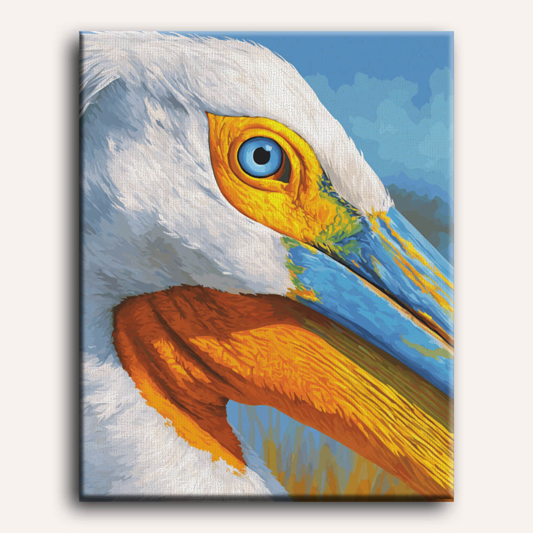 Pelican Portrait | Paint by Numbers