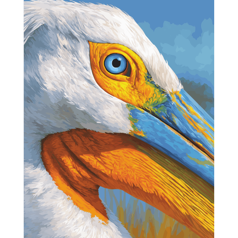 Pelican Portrait | Paint by Numbers
