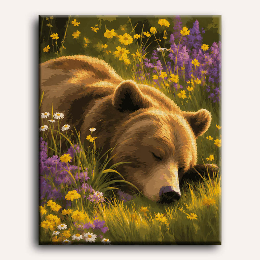 Sleepy Grizzly | Paint by Numbers