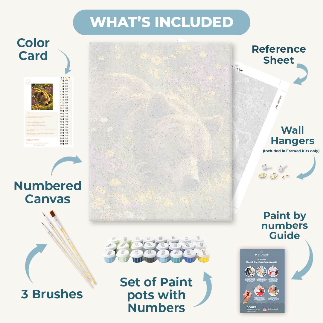 Sleepy Grizzly | Paint by Numbers